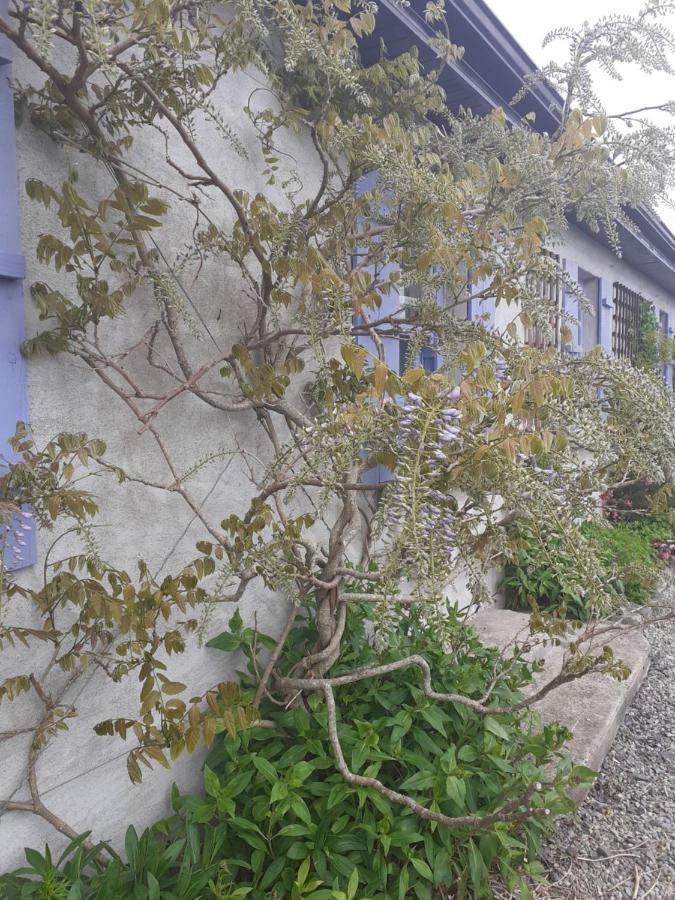 Escape To The Country Villa เวสต์พอร์ต ภายนอก รูปภาพ
